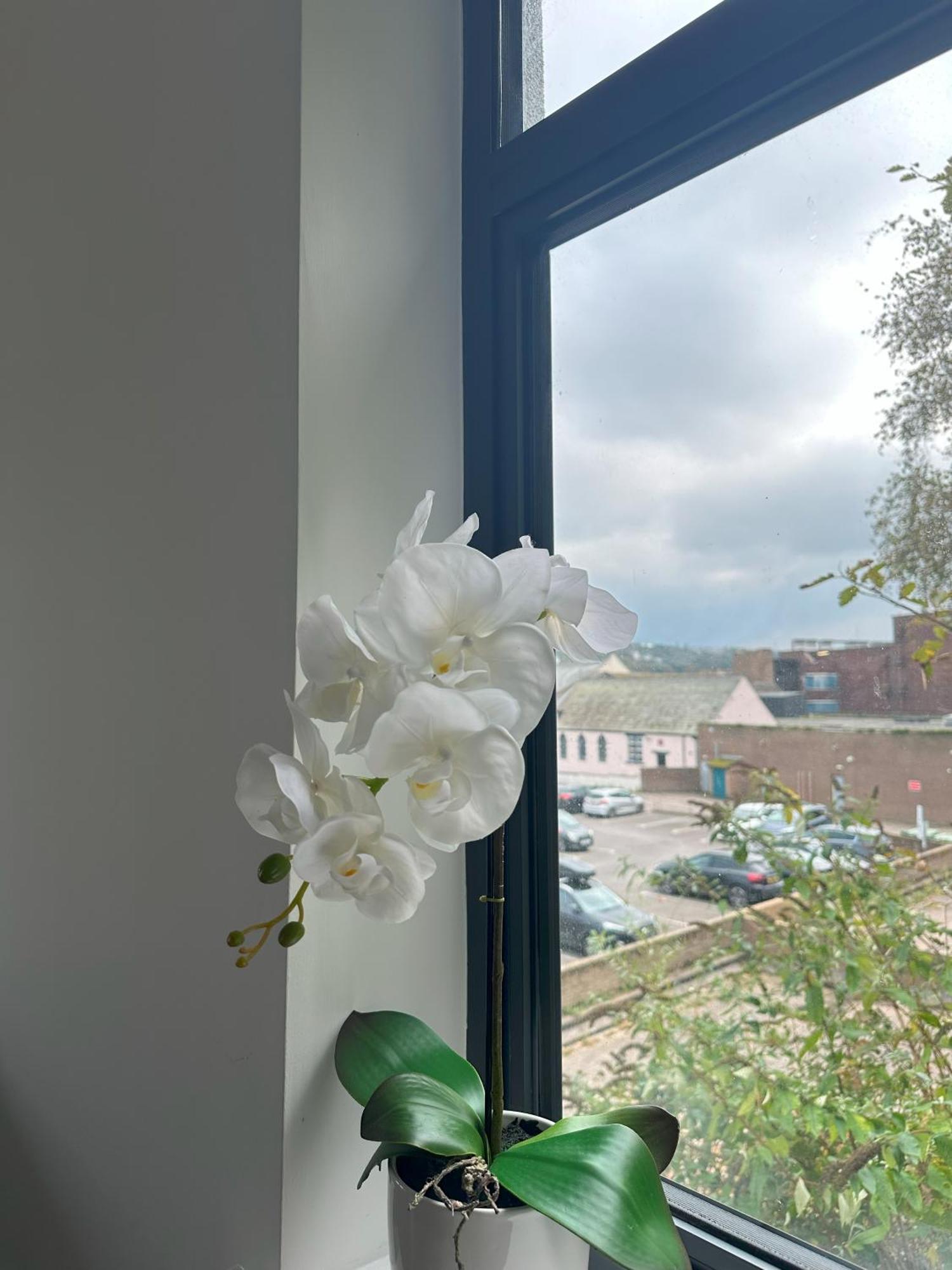 Sea View Apartment Whitehaven Extérieur photo